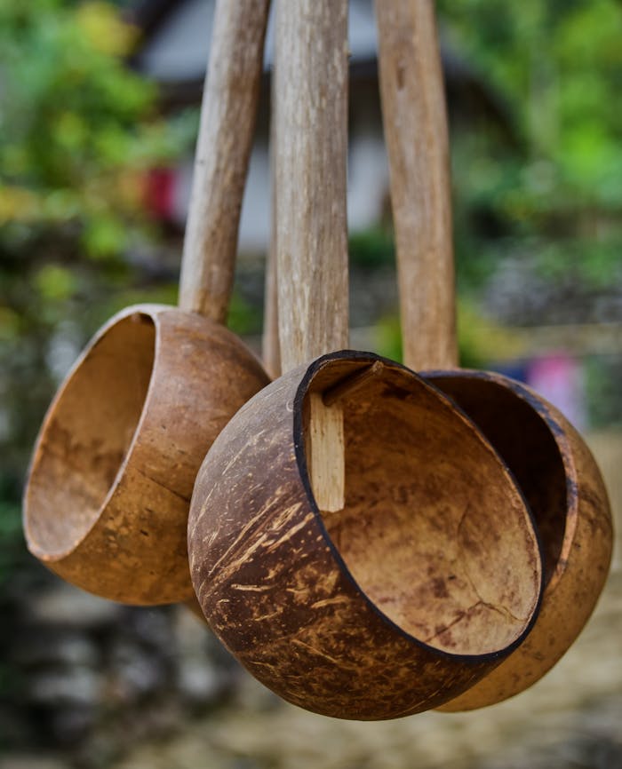 Close-up of three wooden coconut ladles hanging outside on a blurred natural background.